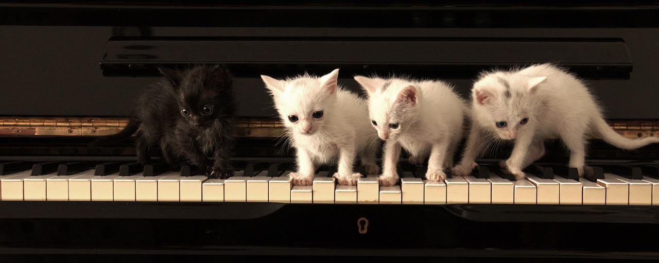 CUARTETO DE JAZZ FELINO